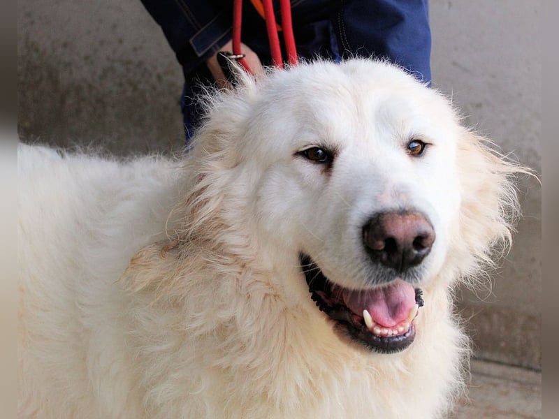 Leverett - Ich sehe was, was du (noch) nicht siehst!