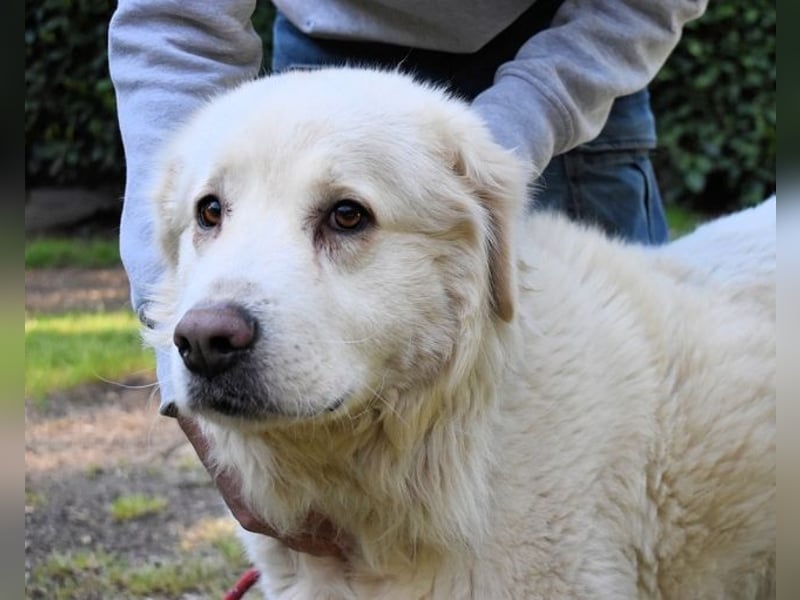 Quilmar - Was werden sie erzählen?