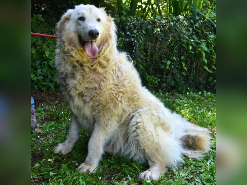 Filomela - Vom Sorgenkind zum Sonnenschein