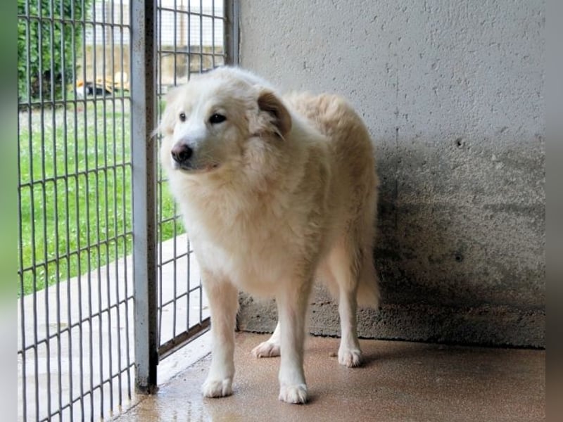 Olivielle- Junge Dame im Bärenmantel