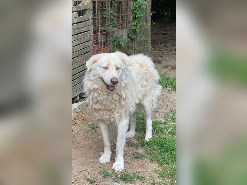 Sindbad - Zwischen Vorsicht und Vertrauen