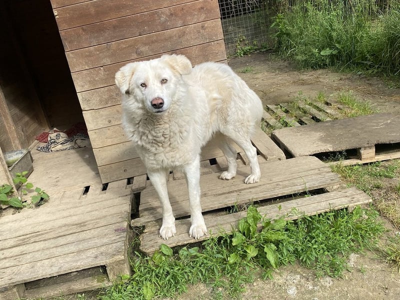 Sindbad - Zwischen Vorsicht und Vertrauen