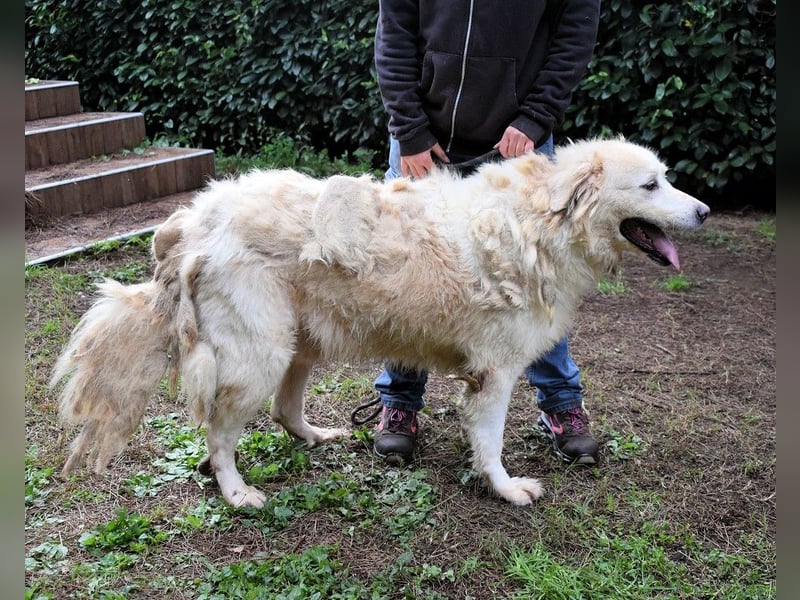 Eluard - Hoffnung auf echte Freundschaft!