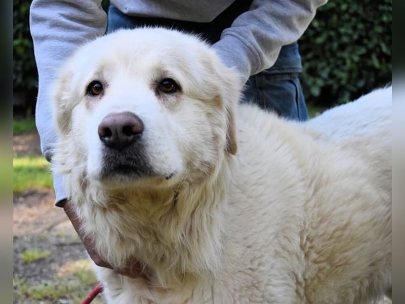 Quilmar - Was werden sie erzählen?