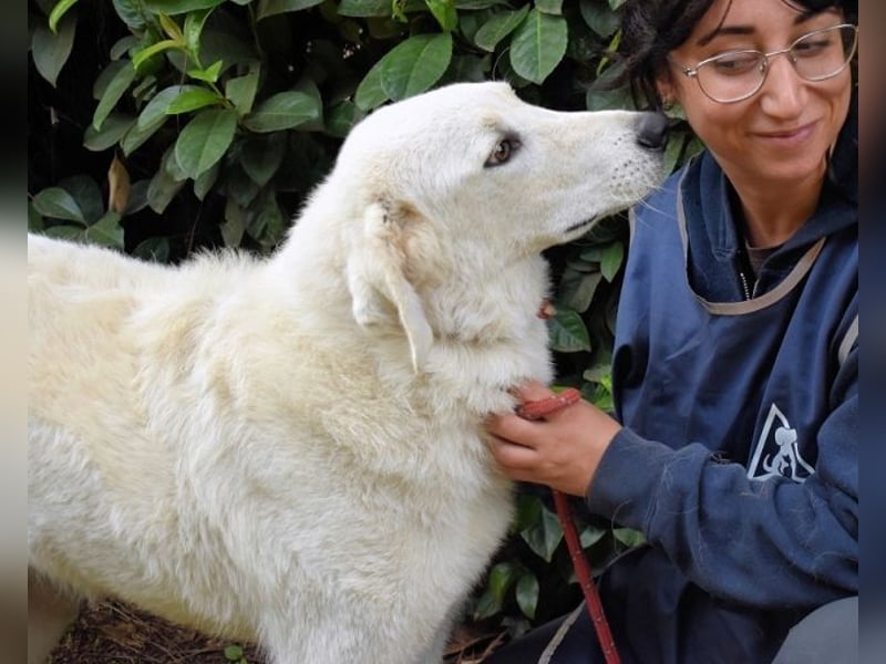 Damarius - niemals ist eine schrecklich lange Zeit