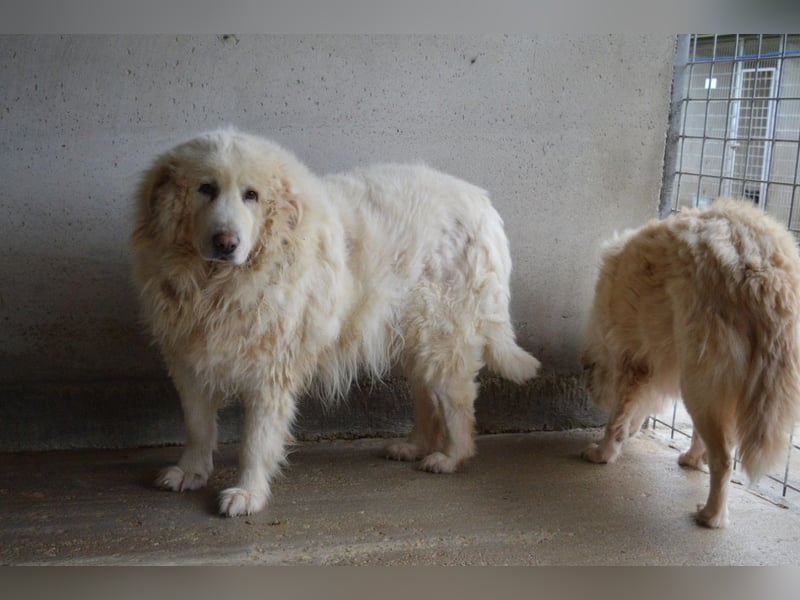 Atheron - Das Ehemaligentreffen