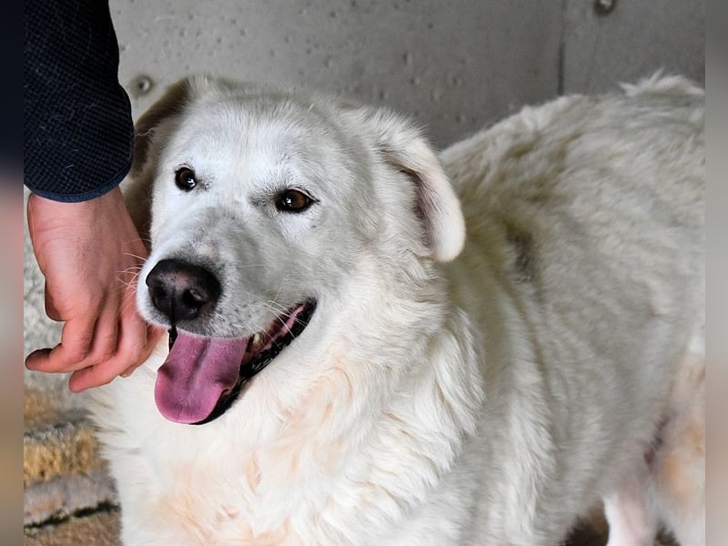 Sallustio - Der Sinn des Lebens