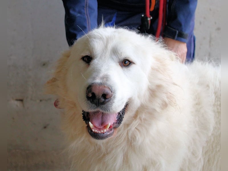 Leverett - Ich sehe was, was du (noch) nicht siehst!