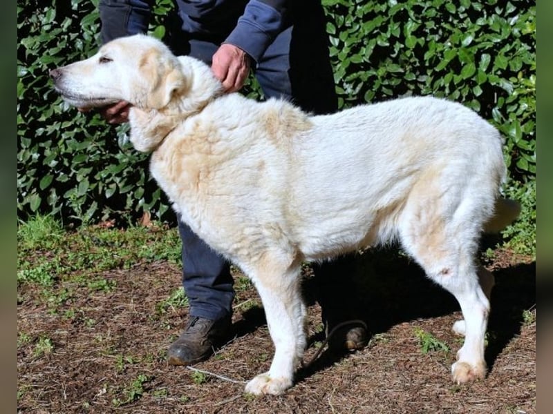 Makeen - es ist die Ohnmacht.....