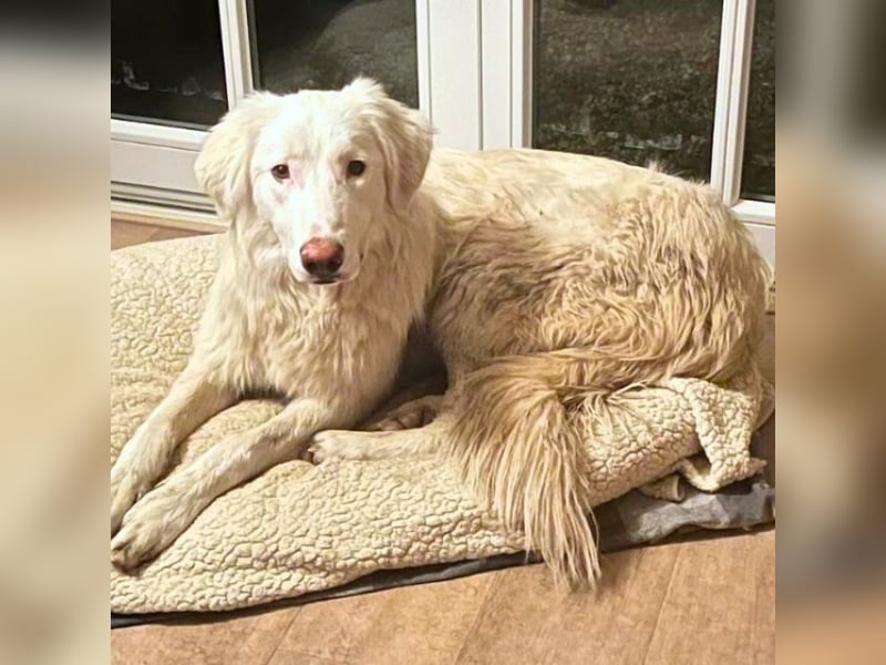 Stardust - Von der Erde zum Mond und zurück....