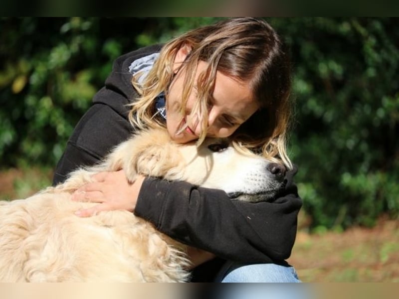 Dominico - Die Stimme des Windes