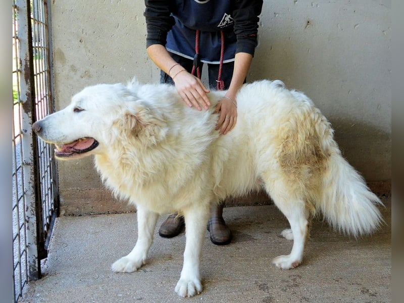 Leverett - Ich sehe was, was du (noch) nicht siehst!