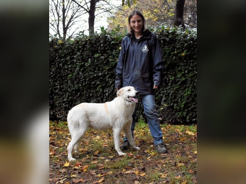 Yasmine - freundlicher Sonnenschein sucht sonniges Plätzchen