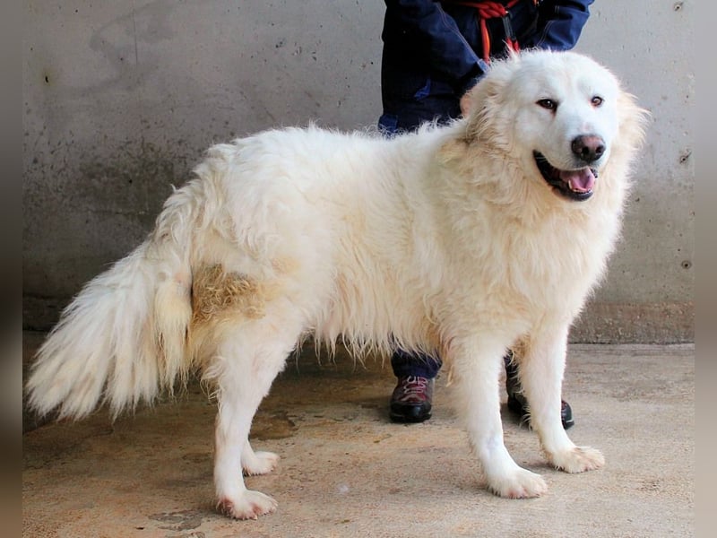 Leverett - Ich sehe was, was du (noch) nicht siehst!