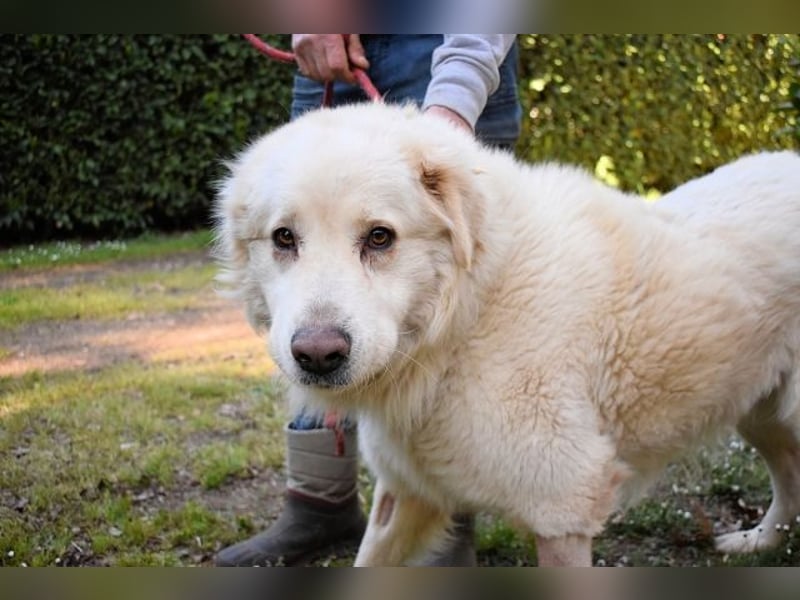 Quilmar - Was werden sie erzählen?