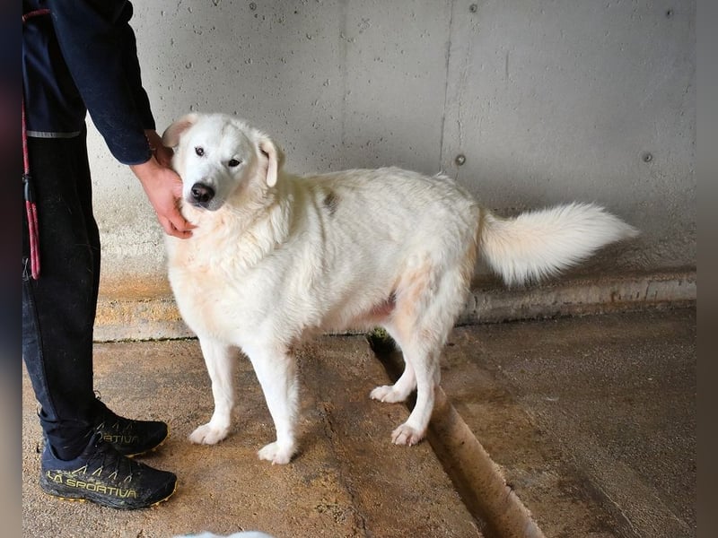 Sallustio - Der Sinn des Lebens