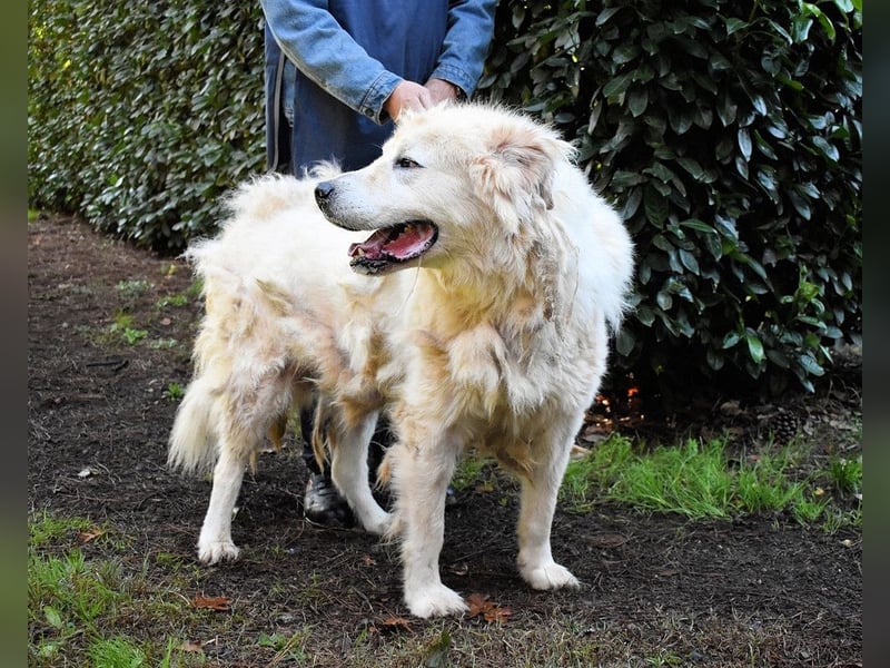 Apolonio - möchte für seine Menschen ein Fels in der Brandung sein