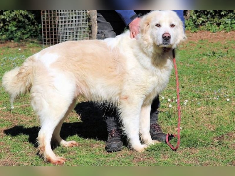Eluard - Hoffnung auf echte Freundschaft!