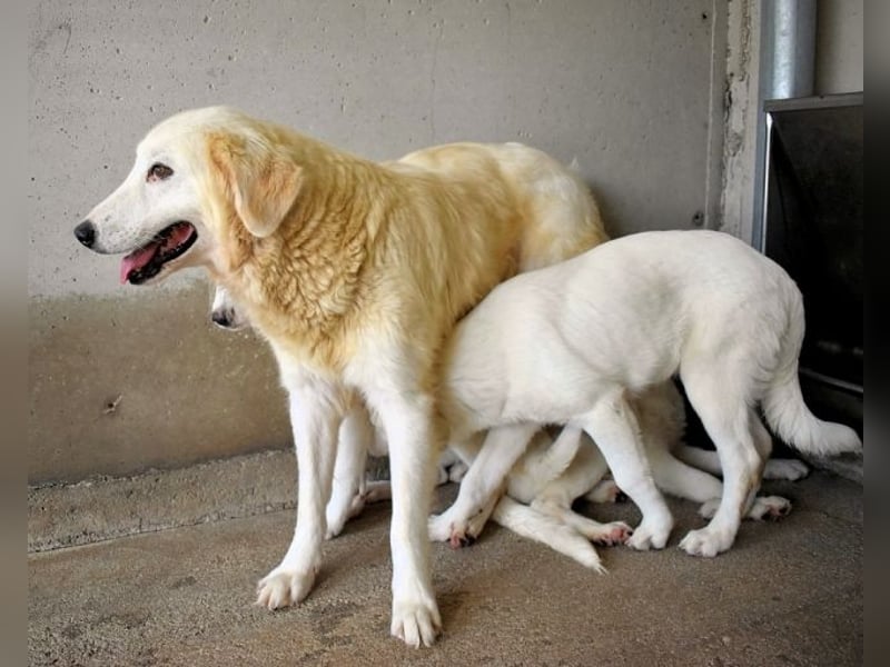 Benilda - Familiemutter in Not