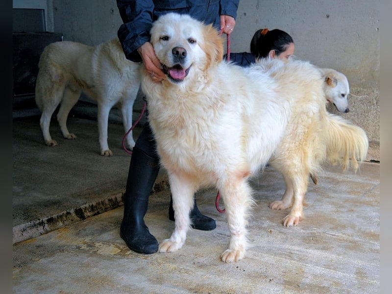 Skilah - Wenn Niemand zu Jemand wird