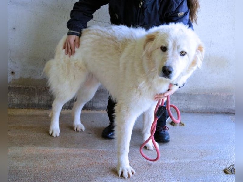 Skilah - Wenn Niemand zu Jemand wird