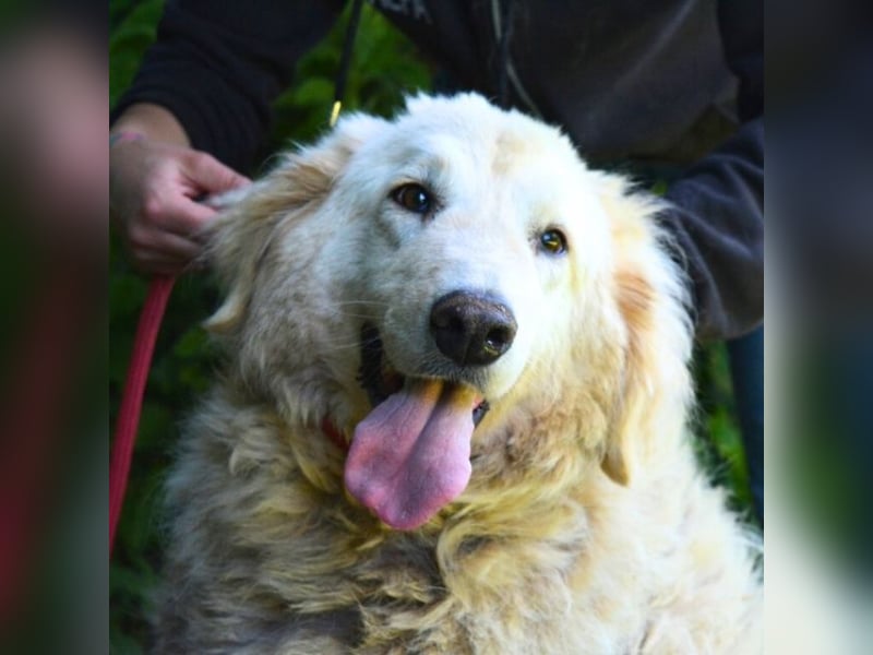 Filomela - Vom Sorgenkind zum Sonnenschein