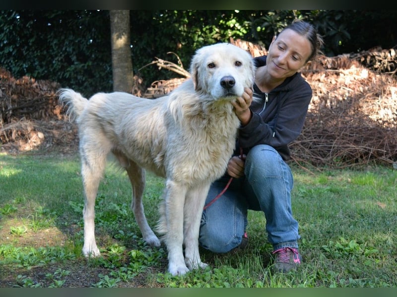 Sisko - es sind so viele