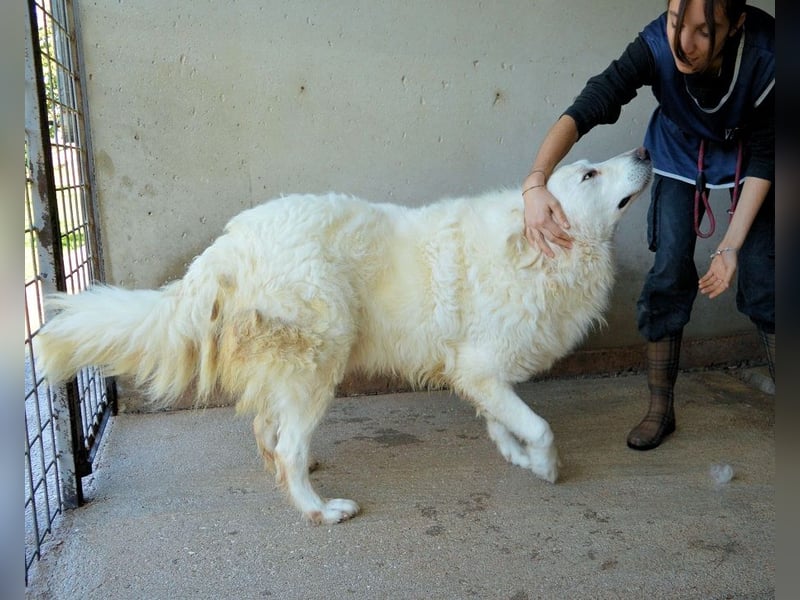 Leverett - Ich sehe was, was du (noch) nicht siehst!