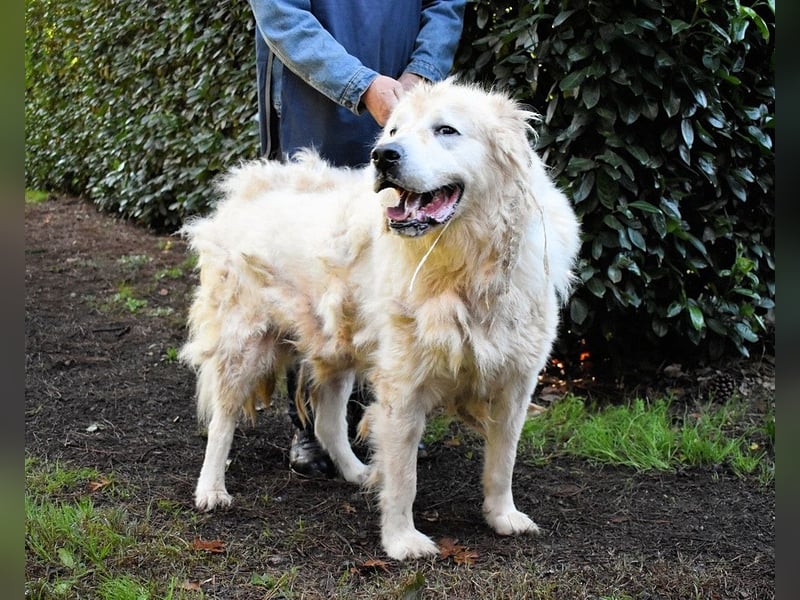 Apolonio - möchte für seine Menschen ein Fels in der Brandung sein
