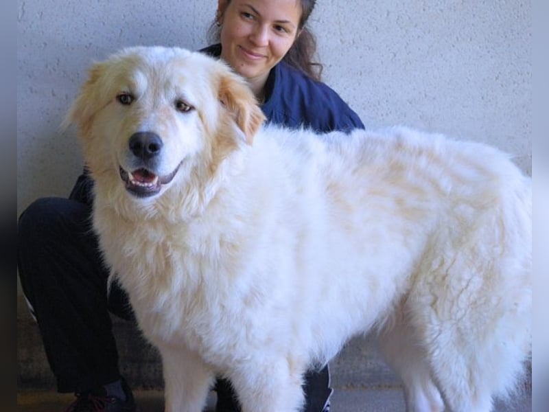 Skilah - Wenn Niemand zu Jemand wird