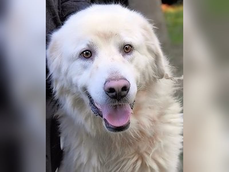 Balvin - Andere schauen bis zum Horizont