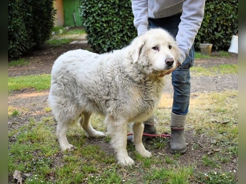 Gorivah - Das Leben ist zu kurz...