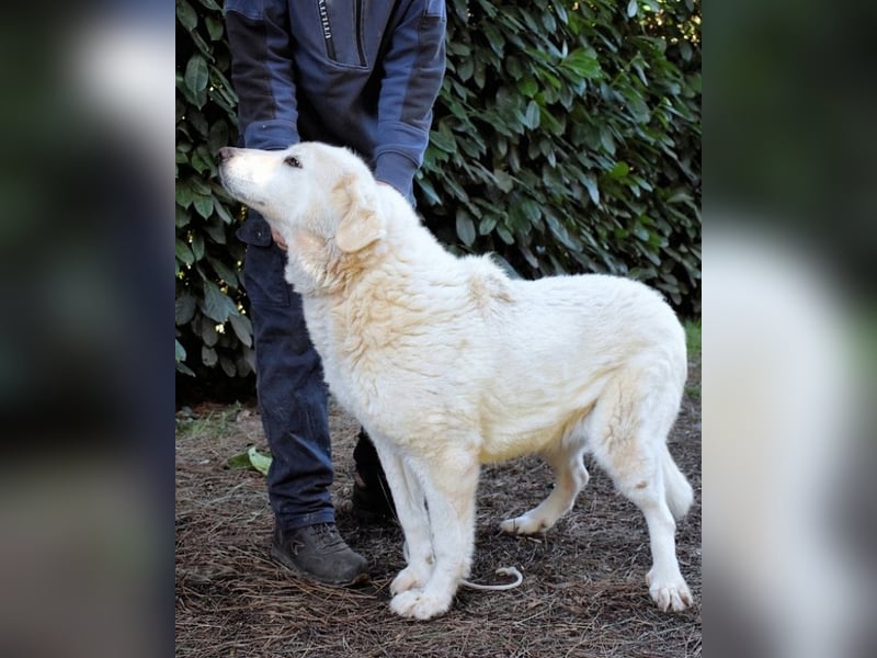 Makeen - es ist die Ohnmacht.....