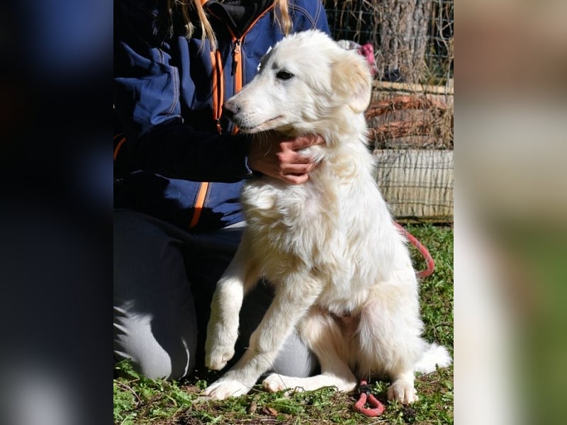 Heathon - sucht die Liebe seines Lebens