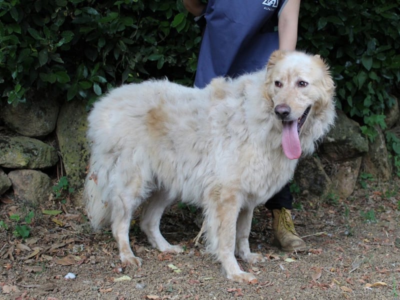 Paolo - Oh, huch, wow!!!