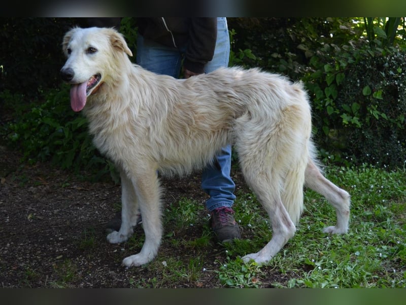 Isana - Wo ist mein neues Leben?