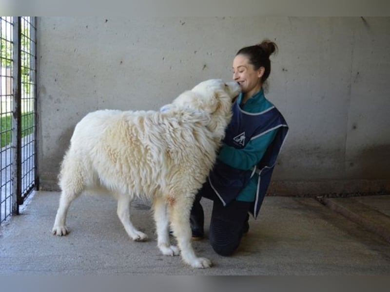 Leverett - Ich sehe was, was du (noch) nicht siehst!