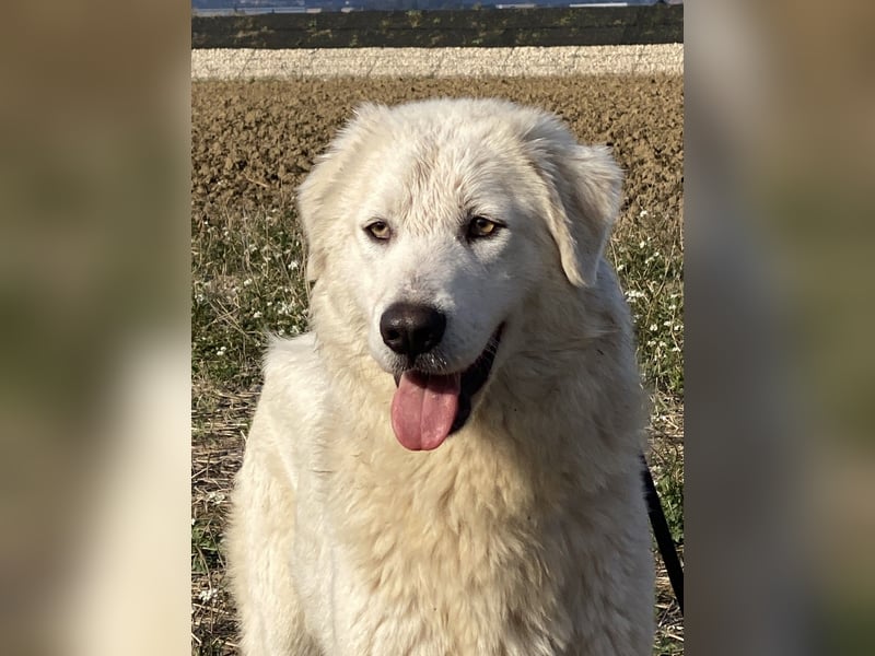 Madea - in ihrer ganzen Schönheit