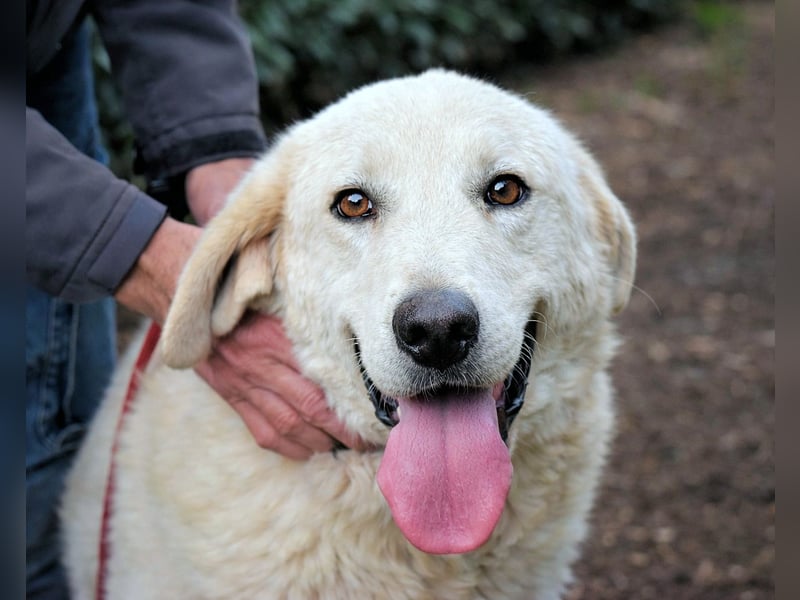 Dayton - niemals ist eine schrecklich lange Zeit