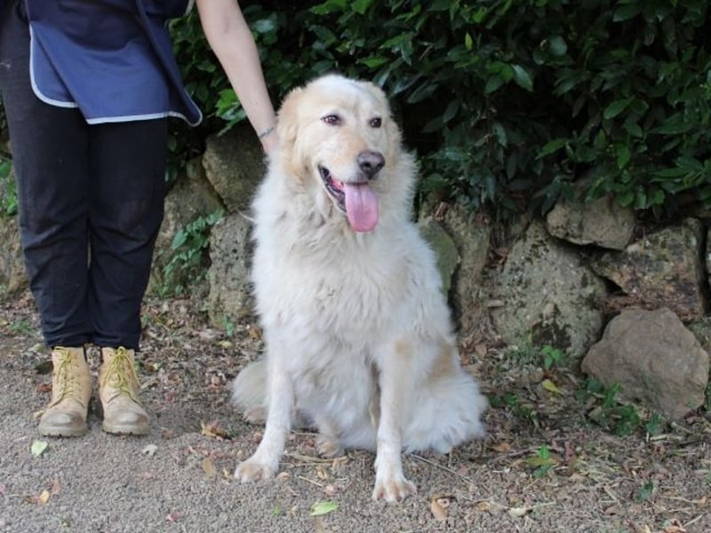 Paolo - Oh, huch, wow!!!