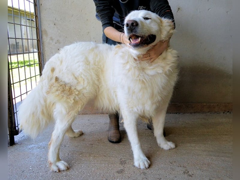 Leverett - Ich sehe was, was du (noch) nicht siehst!