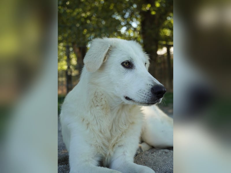 Madea - in ihrer ganzen Schönheit