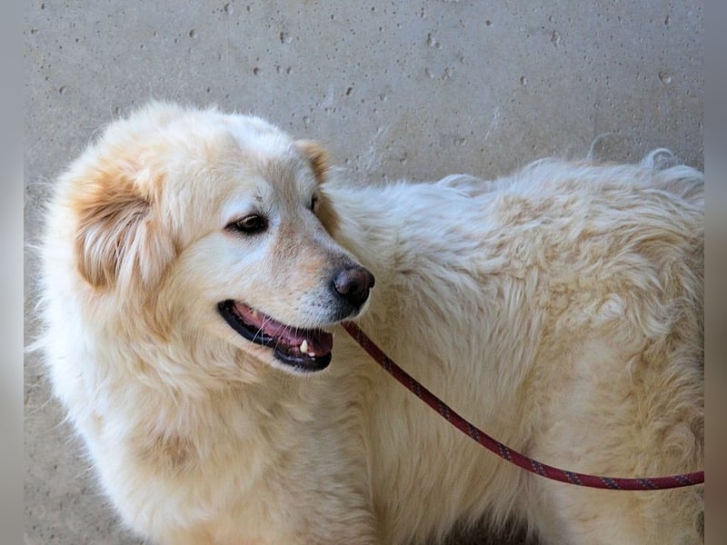 Skilah - Wenn Niemand zu Jemand wird