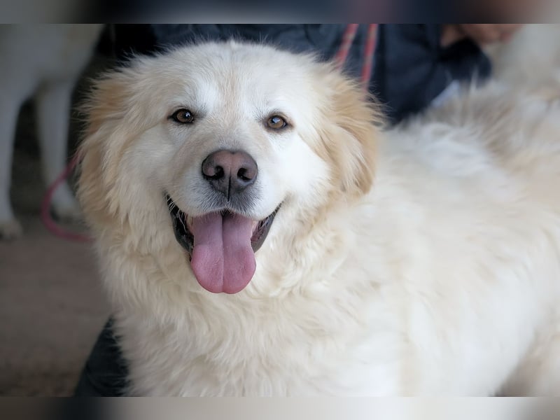 Skilah - Wenn Niemand zu Jemand wird