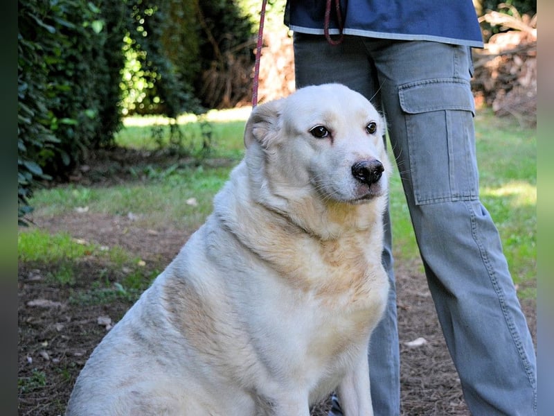 Zipper - Ein vergeudetes Leben