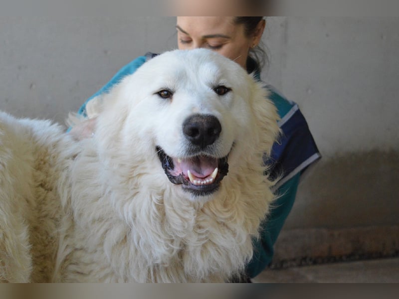 Leverett - Ich sehe was, was du (noch) nicht siehst!