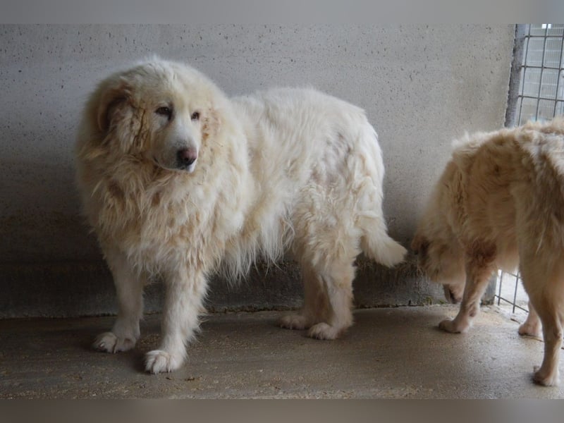 Atheron - Das Ehemaligentreffen