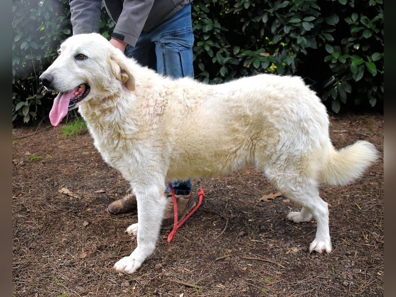 Dayton - niemals ist eine schrecklich lange Zeit
