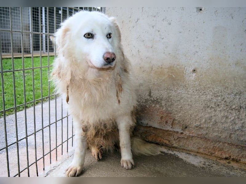 Fredrik - Was nach der Trennung kommt