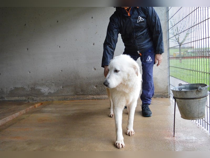 Rosvielle - Auf einer Skala von 1 bis 10....